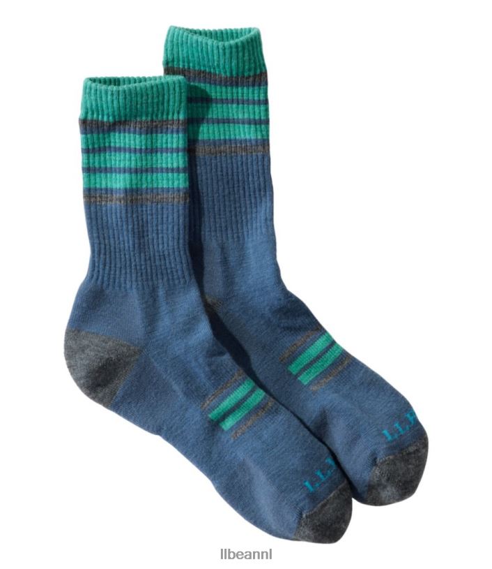 wilde eend blauw/azuur