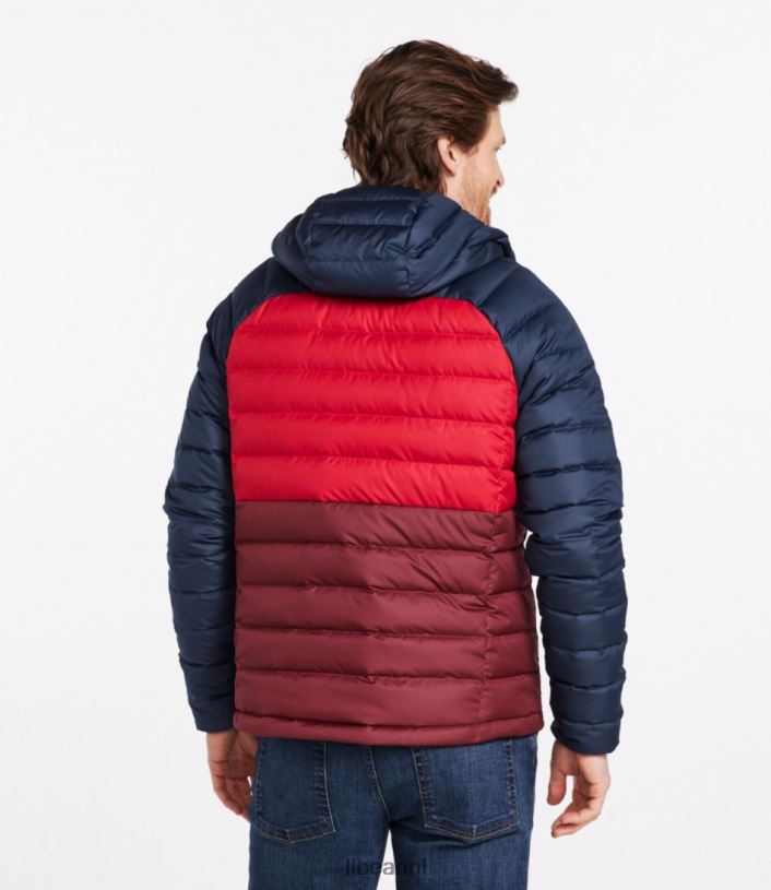L.L.Bean Heren donsjack met capuchon bordeaux/nautische marine bovenkleding VT064913