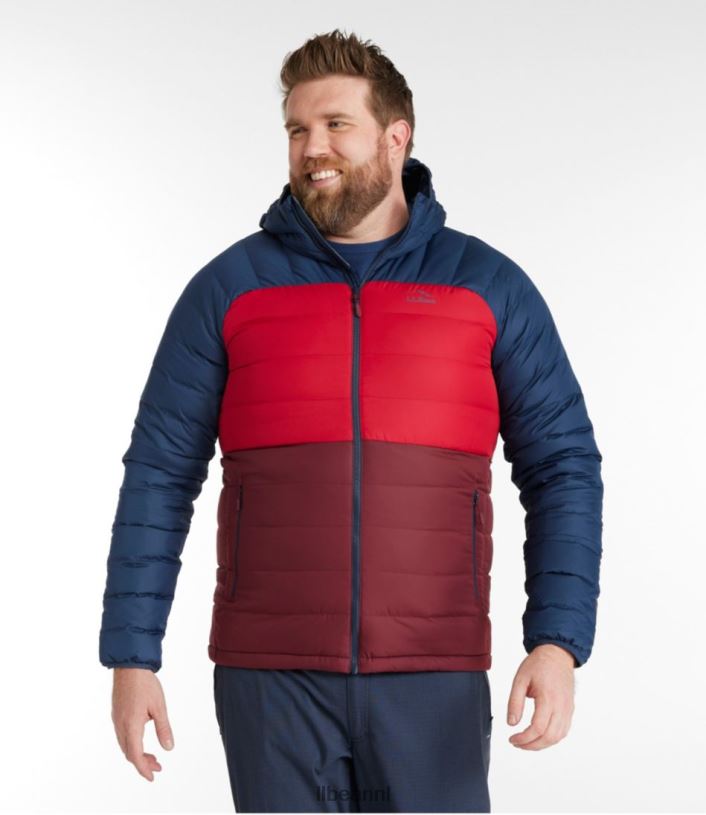 L.L.Bean Heren donsjack met capuchon bordeaux/nautische marine bovenkleding VT064913