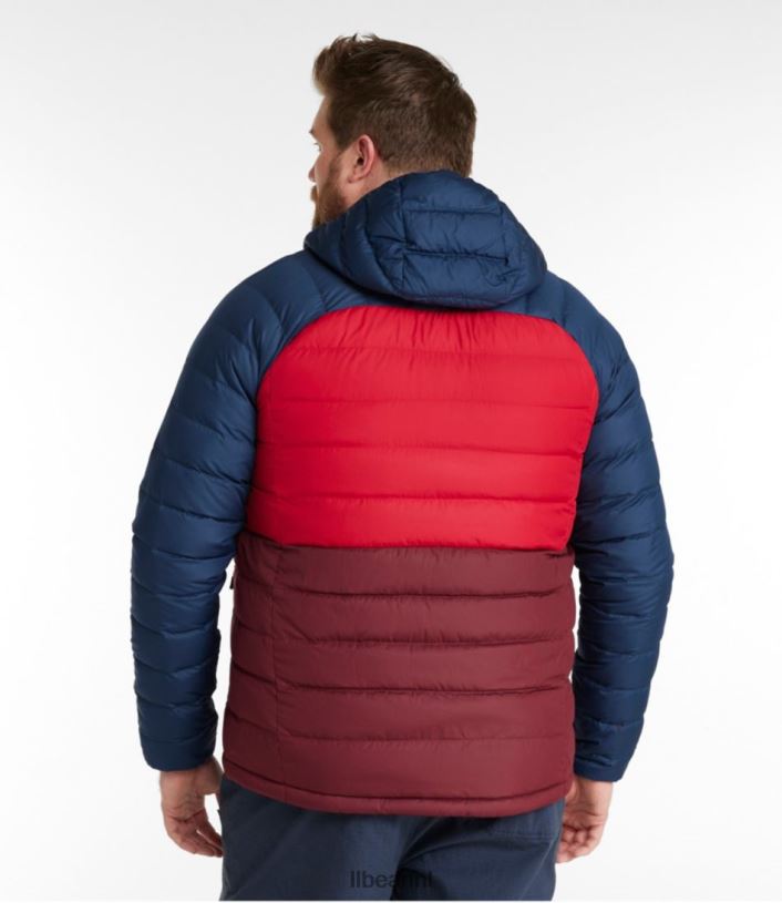 L.L.Bean Heren donsjack met capuchon bordeaux/nautische marine bovenkleding VT064913
