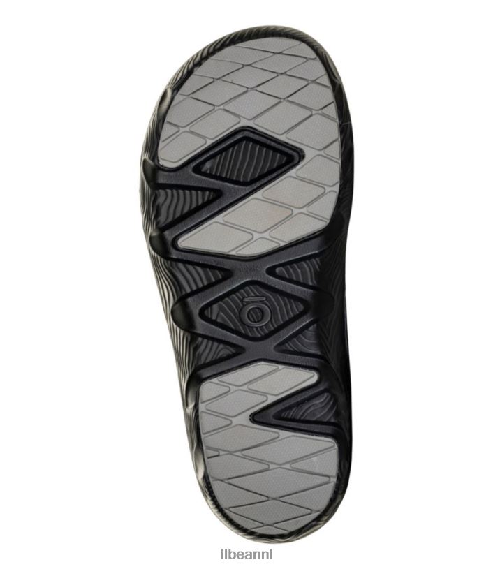 L.L.Bean Heren oboz whakata kustklompen groenblijvend schoenen VT0643802