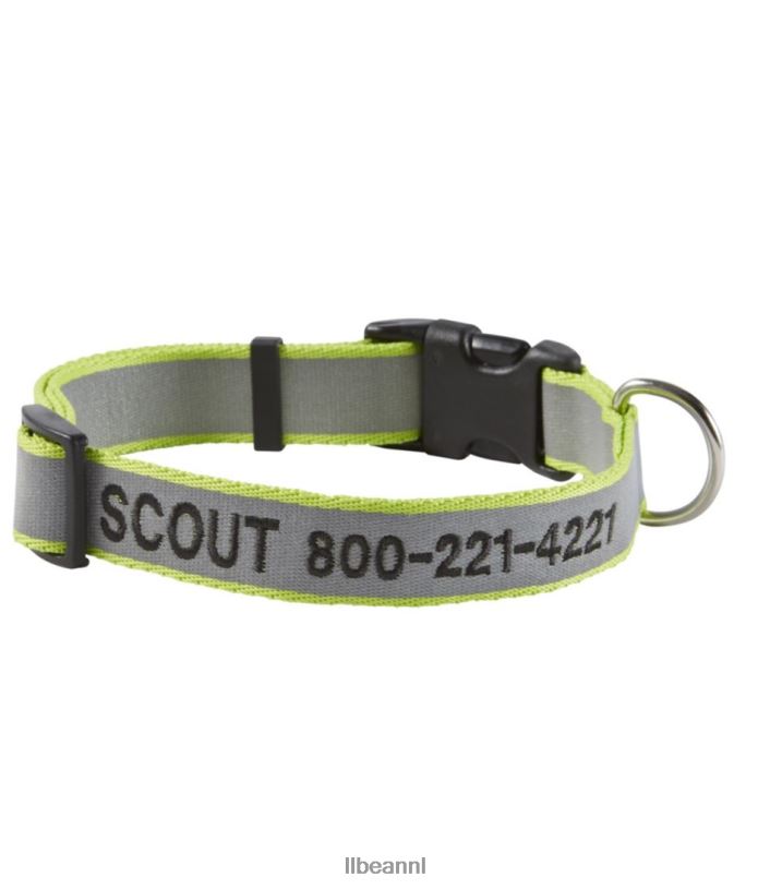 L.L.Bean unisex gepersonaliseerde huisdierhalsband reflecterend limoen huis goederen VT0641405