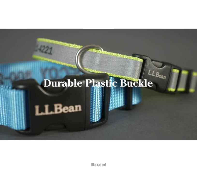 L.L.Bean unisex gepersonaliseerde huisdierhalsband reflecterend limoen huis goederen VT0641405