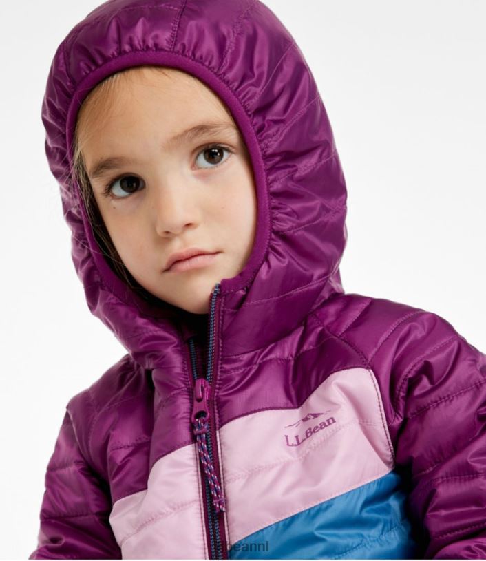 L.L.Bean kinderen Primaloft jack met capuchon collegiaal blauw/gazongroen bovenkleding VT0643694