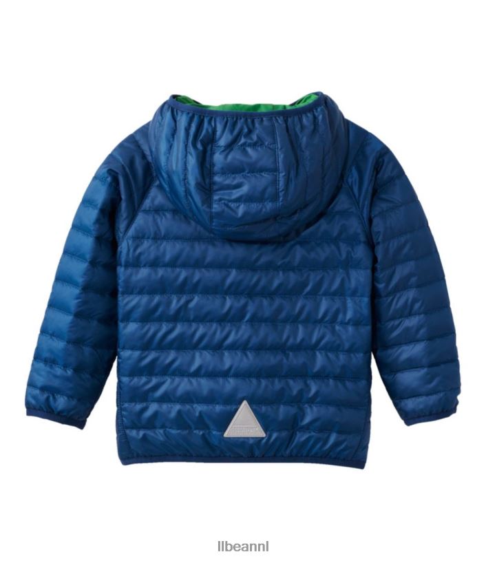 L.L.Bean kinderen Primaloft jack met capuchon collegiaal blauw/gazongroen bovenkleding VT0643694