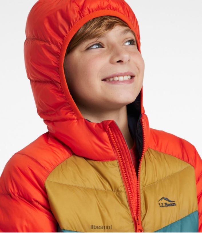 L.L.Bean kinderen ultralicht 650 donsjack blauwgroen kleurblok bovenkleding VT0643706