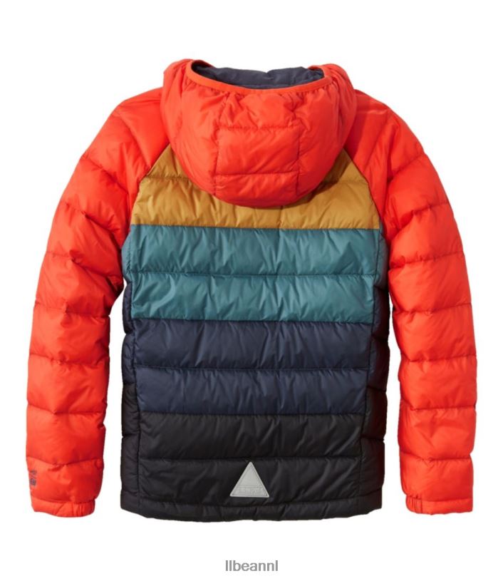 L.L.Bean kinderen ultralicht 650 donsjack blauwgroen kleurblok bovenkleding VT0643706