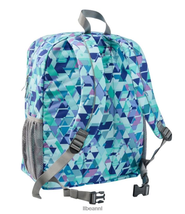 L.L.Bean unisex luxe boekenpakket maagdenpalm hemel chevron accessoires VT0645431