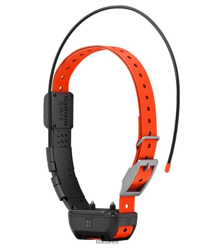 L.L.Bean unisex Garmin alpha tt25 hondenhalsband zwart/oranje uitrusting voor buiten VT0642107