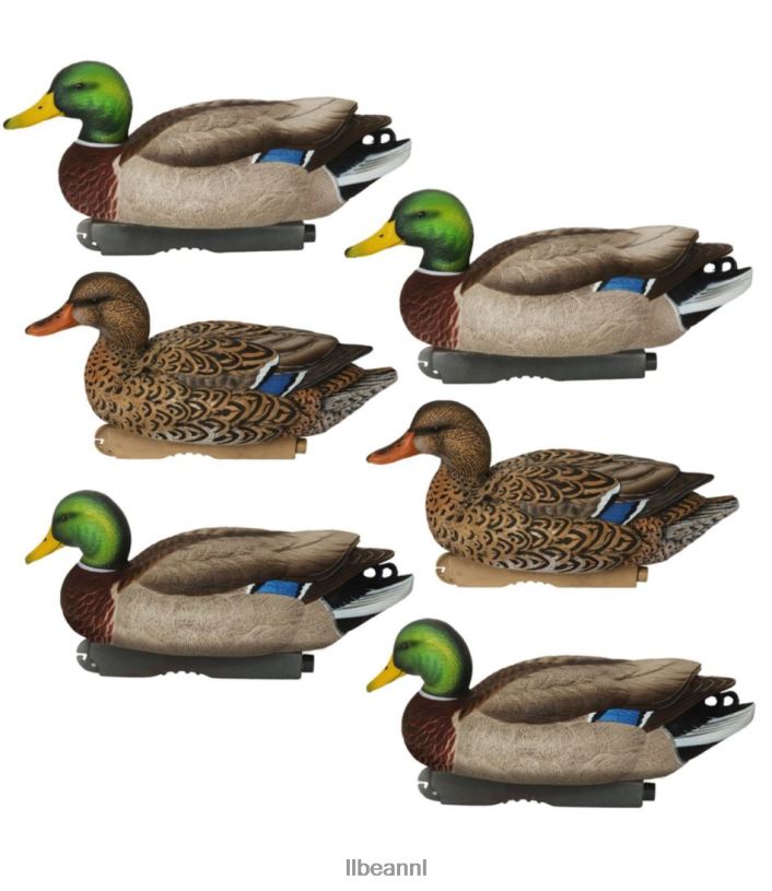 L.L.Bean unisex avery professionele lokvogels 6-pack wilde eend uitrusting voor buiten VT0642269