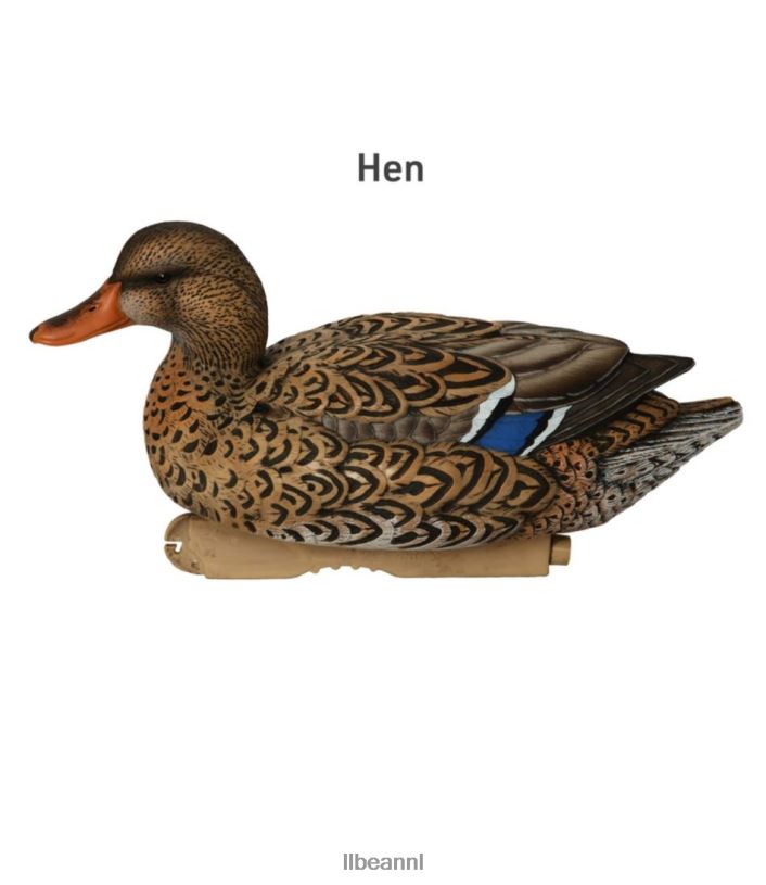 L.L.Bean unisex avery professionele lokvogels 6-pack wilde eend uitrusting voor buiten VT0642269