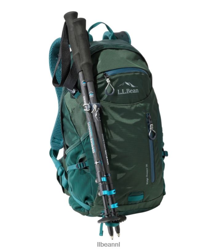 L.L.Bean unisex hikelite 4-seizoenen carbon compacte wandelstokken carbon mat/blauw transparant uitrusting voor buiten VT0641411