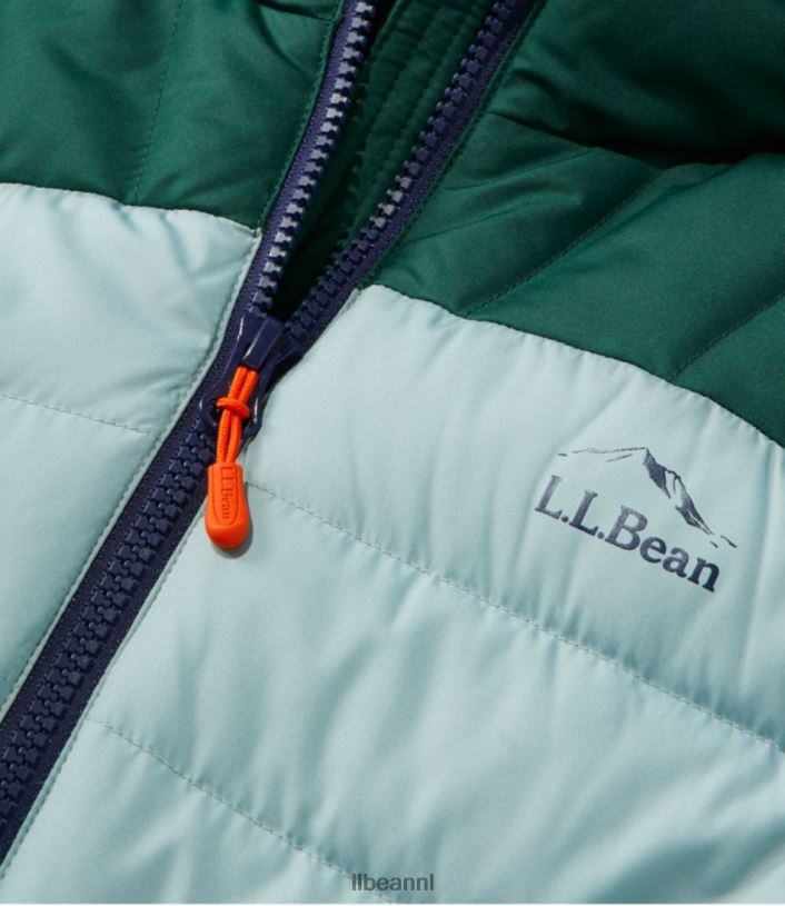 L.L.Bean vrouwen donsjack met capuchon vintage indigo/mineraalblauw bovenkleding VT0646046