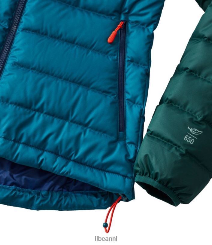L.L.Bean vrouwen donsjack nautisch marine/suikerpruim bovenkleding VT0645125