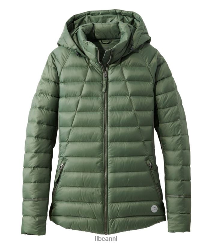 L.L.Bean vrouwen grenzeloos hybride donsjack tijm bovenkleding VT0643646