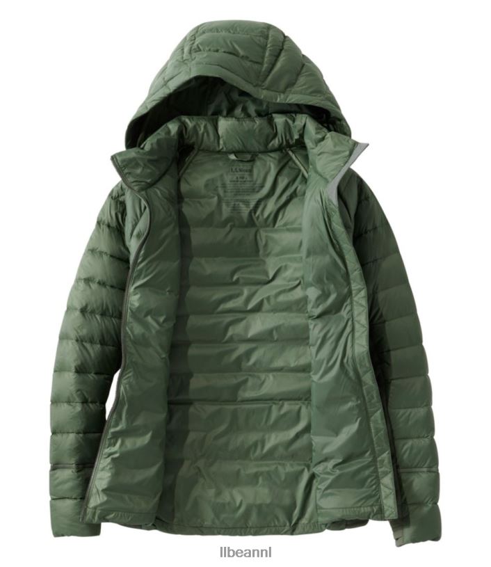 L.L.Bean vrouwen grenzeloos hybride donsjack tijm bovenkleding VT0643646